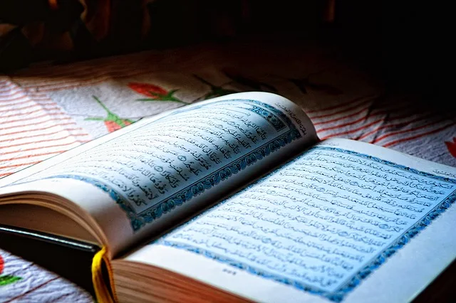 What Are the Five Fundamentals of Islamic Knowledge?