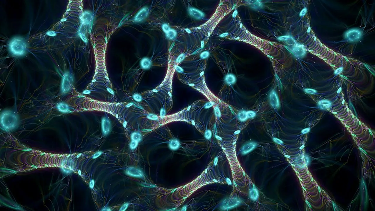 Neurones