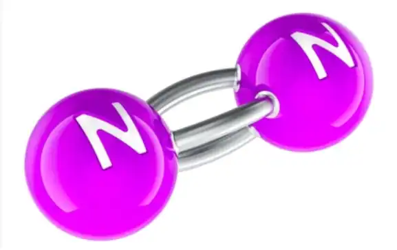 Nitrogen Cycle