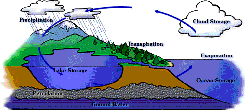Water Cycle